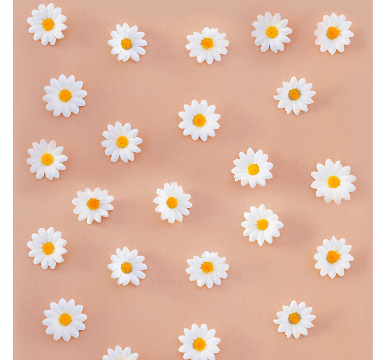 Daisy Blooms flowers wallpaper - TenStickers