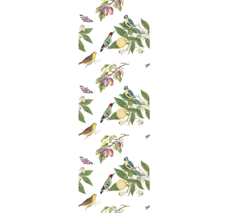 Colorful paradise birds in wallpaper - TenStickers